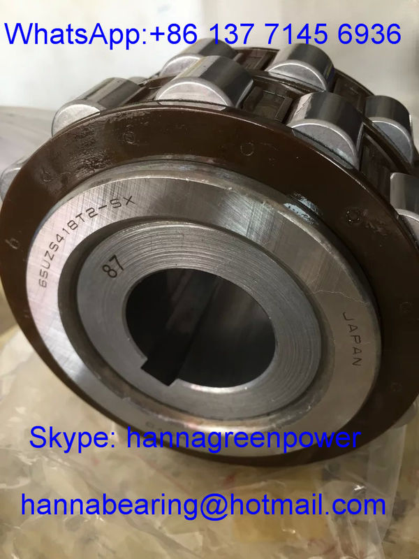 65UZS418T2XSX87 Cylindrical Roller Bearing with Bushing 65UZS418 Nylon Cage Eccentric Bearing