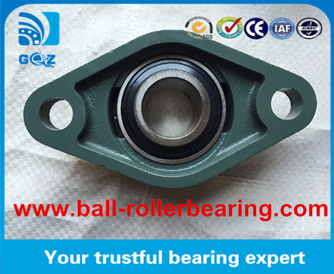 NTN Flange Pillow Block Bearing UCFL UCFL205 with Cast Iron Material ISO
