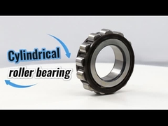 65UZS418T2X-SX-87 Cylindrical Roller Bearing with Bushing 65UZS418 Nylon Cage Eccentric Bearing