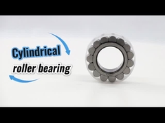 High Quality Chrome Steel Material CPM2620 2620 Cylindrical Roller Bearing 55x94.76x100mm