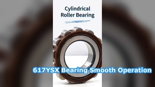617YSX Nylon Cage Cylindrical Roller Bearing | High-Radial Load Industrial Bearing 60x113x31mm