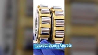 500752307 Double Row Cylindrical Roller Bearing | Automotive Gearbox Bearing