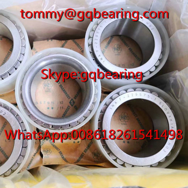 Slovakia Origin INA F229575.01.RNN Cylindrical Roller Bearing without Outer Ring
