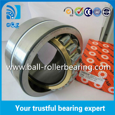 FAG Z-534176.PRL Double Row Spherical Roller Automobile Ball Bearings For Caravan / Bicycle Wheel