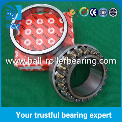FAG Z-534176.PRL Double Row Spherical Roller Automobile Ball Bearings For Caravan / Bicycle Wheel