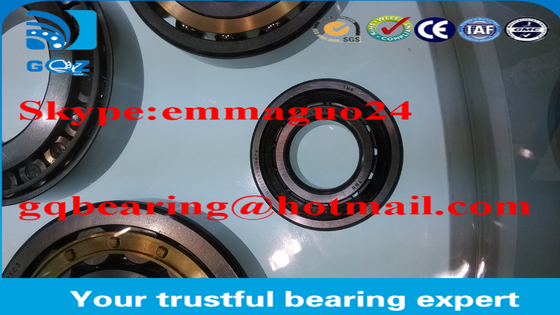 Nylon Cage Cylindrical Roller Bearing NJ2310ETN / P6C4 / BTW NSK GQZ brand