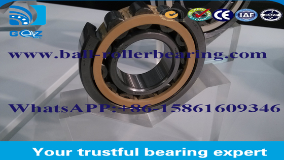 Automobiles Full Complement Roller Bearing with GCr15 Steel Material P0 P6 P2