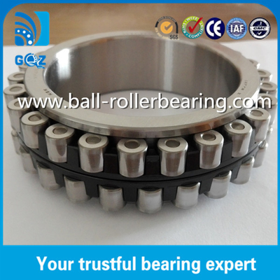 CNC Machine Using Nylon Cage Full Complement Roller Bearing SKF NN3020KTN9/SPW33