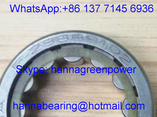 F-238891.02 / F23889102 Single Row Cylindrical Roller Bearing / Gearbox Bearing 32*53.5*19.5mm