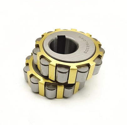500752307 Eccentric Bearing 500752307K Brass Cage Cylindrical Roller Bearing for Reducer
