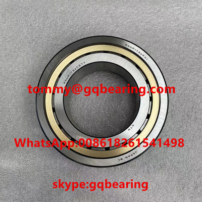 NTN RNUP1734PX1 Cylindrical Roller Bearing RNUP1734CS77 A4VSO500 Plunger Pump Bearing