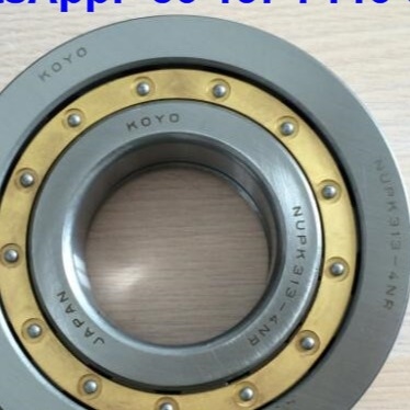 NUP313-4N Cylindrical Roller Bearings NUPK313-4NRS02C3 Roller Bearing With Snap Ring