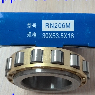 RN206M Cylinder roller bearing without Outer Ring 502206H Eccectric Bearing 30*53.5*16mm