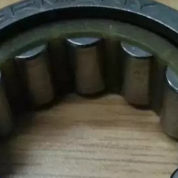 F-238891.02 / F23889102 Single Row Cylindrical Roller Bearing / Gearbox Bearing 32*53.5*19.5mm
