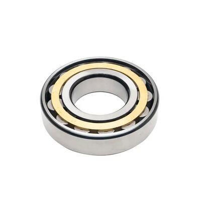 SL045014-PP Double Row Full Complement Cylindrical Roller Bearing with PP Lip Seals for Heavy Load Appliions