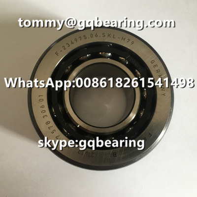 Chrome Steel Material FAG F-234975.06 F-234975.06.SKL-H79 BMW Differential Automotive Bearing