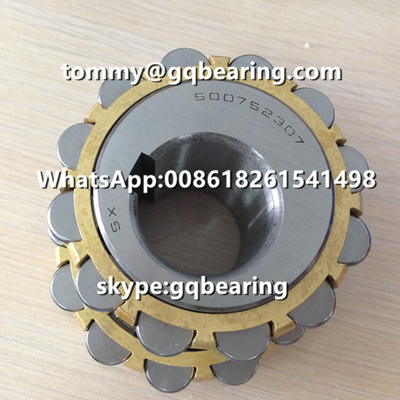 500752307 Eccentric Bearing 500752307K Brass Cage Cylindrical Roller Bearing for Reducer