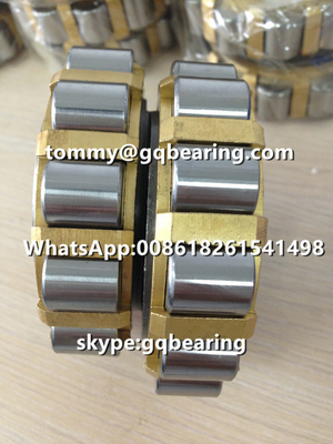 500752307 Eccentric Bearing 500752307K Brass Cage Cylindrical Roller Bearing for Reducer