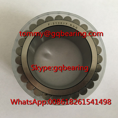 Gcr15 Steel Material F-213617 Double Row Cylindrical Roller Bearing without Cage