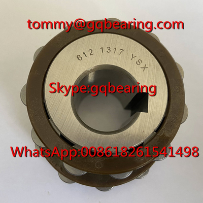 Koyo 612 1317 YSX Nylon Cage Roller Bearing 6121317YSX Eccentric Bearing