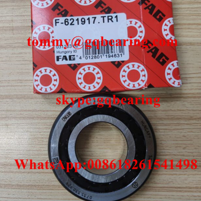 Nylon Cage F-621917.TR1 Tapered Roller Bearing For Automotive Gearbox
