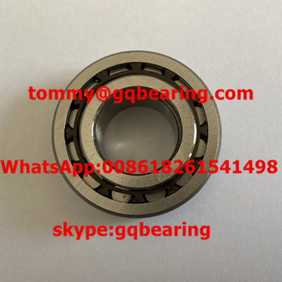 Gcr15 Steel Single Row Cylindrical Roller Bearing F-553596.01.NUP