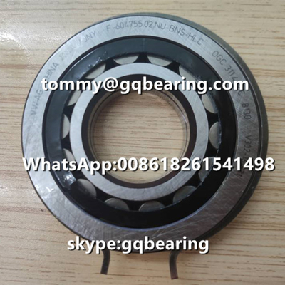 Automotive Cylindrical Roller Bearing VW AG INA F-604755.02.NU-BNS-HLC Steel Material