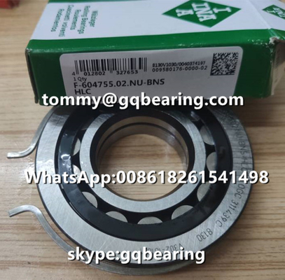 Automotive Cylindrical Roller Bearing VW AG INA F-604755.02.NU-BNS-HLC Steel Material