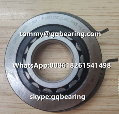Nylon Cage Cylindrical Roller Bearing VW AG INA F-604757.04.NU - BNS - HLC With Snap Ring