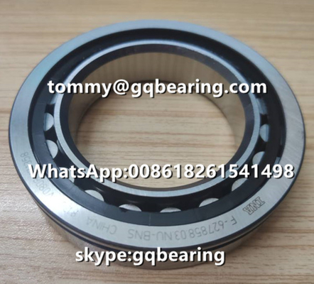 Chrome Steel Cylindrical Roller Bearing VW AG INA F-627858.03